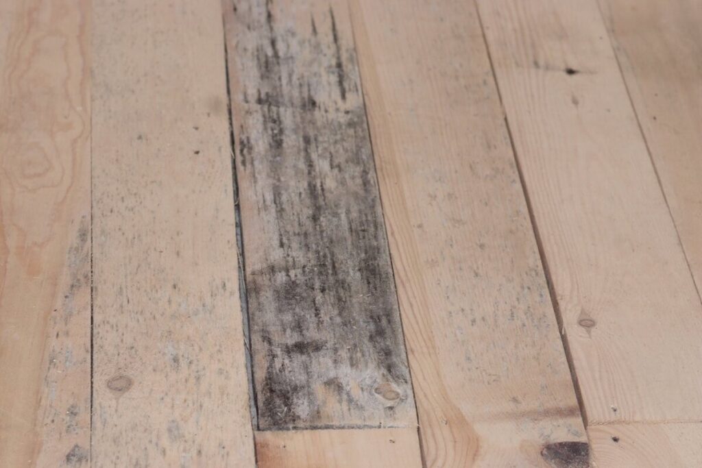лиственница гниет